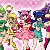   - Tokyo Mew Mew