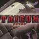Аниме - Trigun
