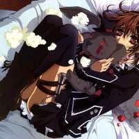   - Vampire Knight 