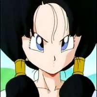  - Videl