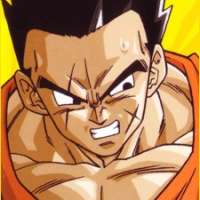  Yamcha